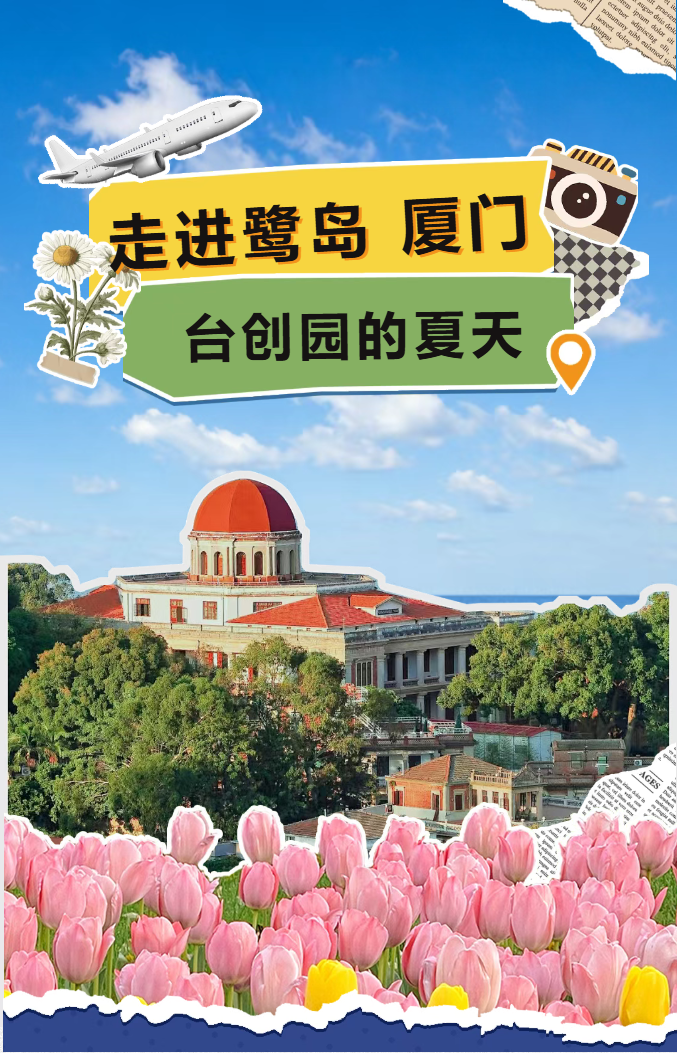 2026实践 | 天津大学“无忧”实践队厦门分队成员介绍